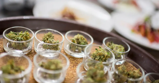Cannabis Confectionary and Pairing: Perfecting Flavor Combinations