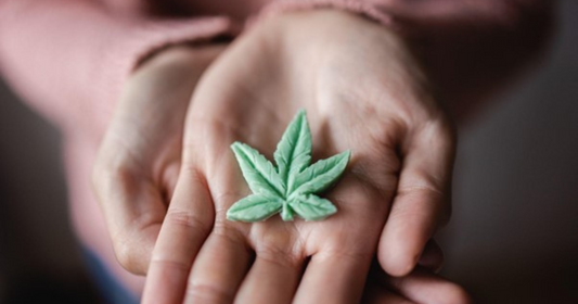 Exploring the Delightful Benefits of Cannabis Edibles: A Journey with Blunt Cakes